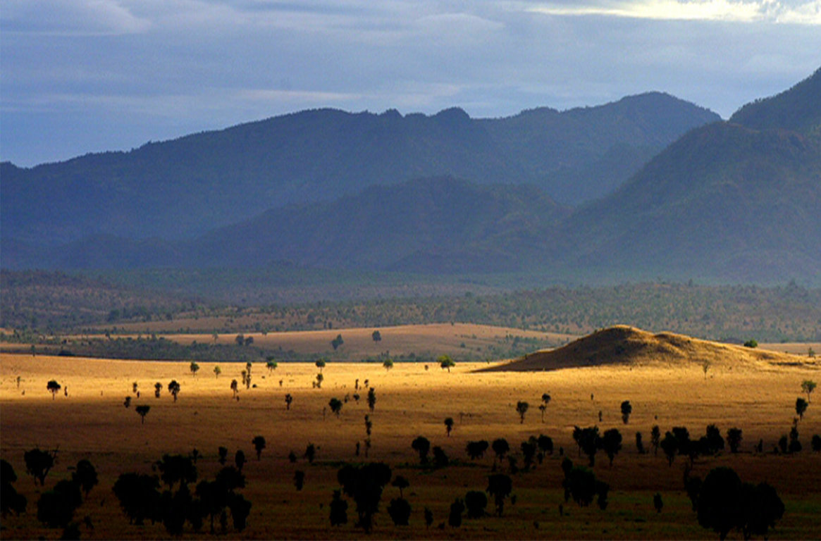 Kidepo Valley National Park – Divine African Holidays Tours and Travel